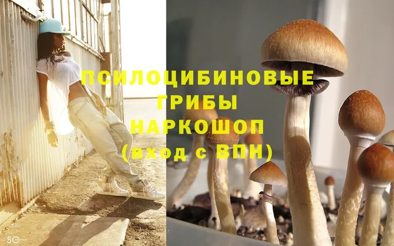 Псилоцибиновые грибы Cubensis  даркнет сайт  Новая Ляля 